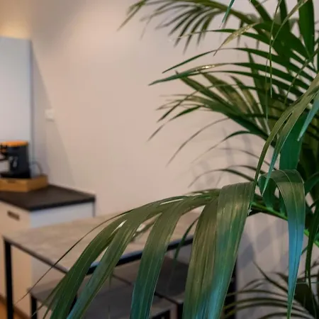 New Experience ベッド・アンド・ブレックファスト 4*