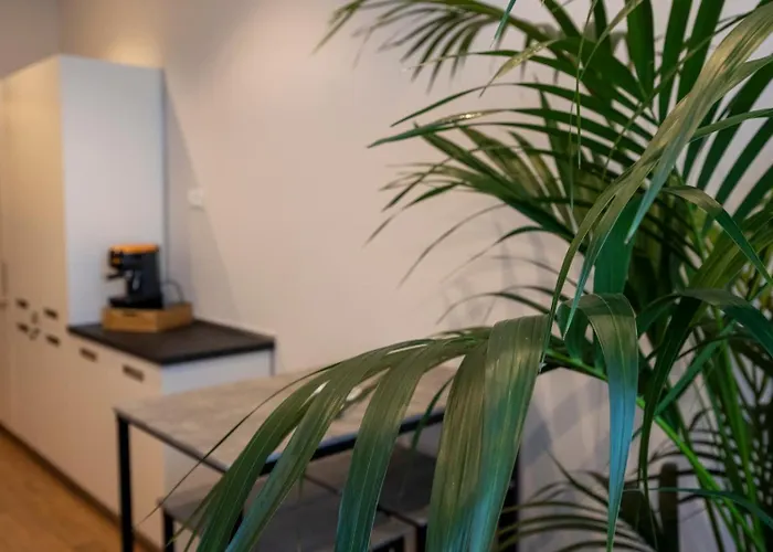 New Experience Bed & Breakfast 4*